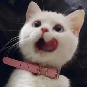 亂伦有声小说合集500篇
